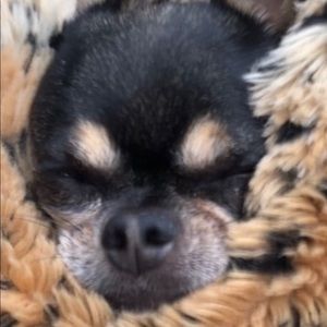 Meet your Posher, Debra